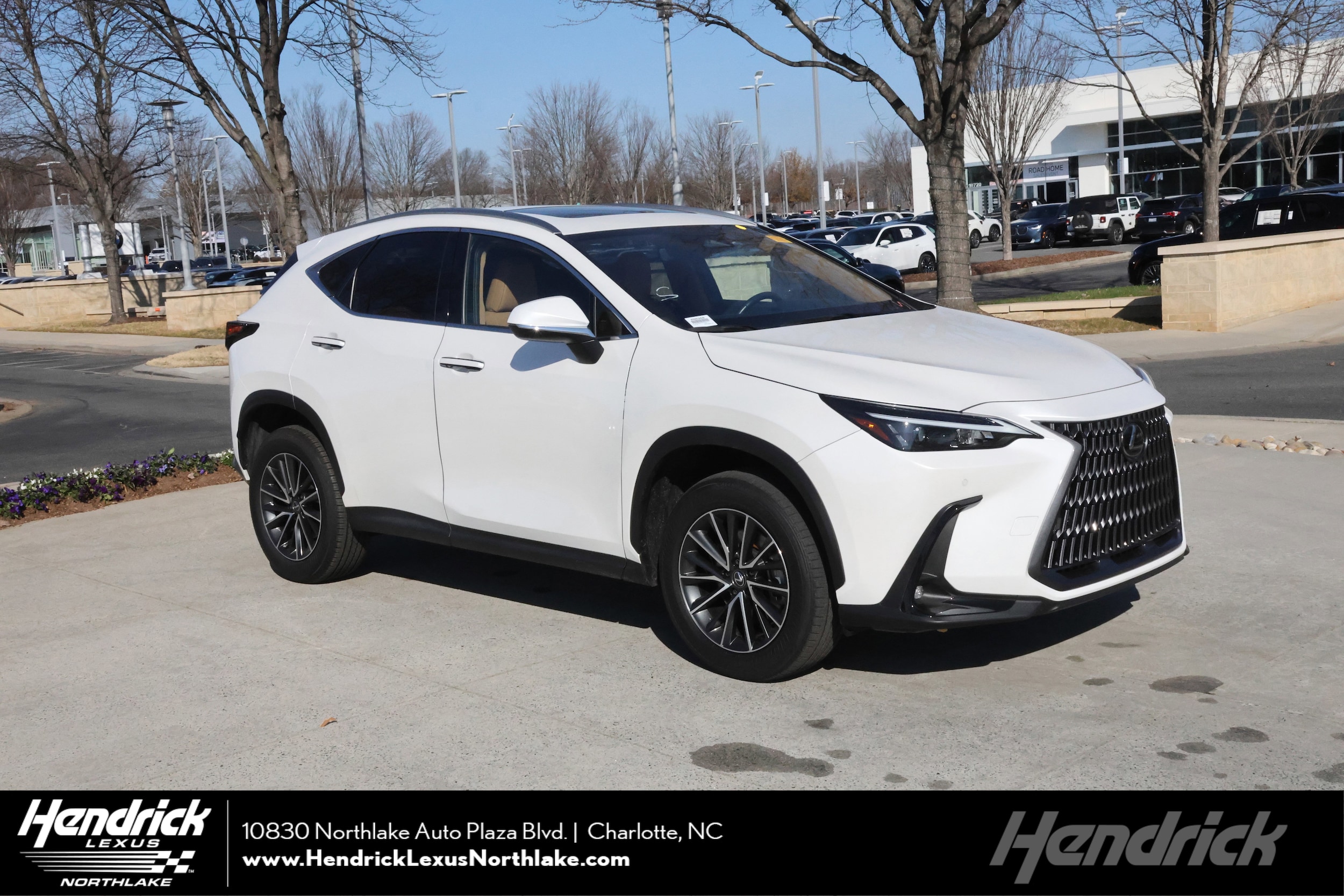2024 Lexus NX 350's photo