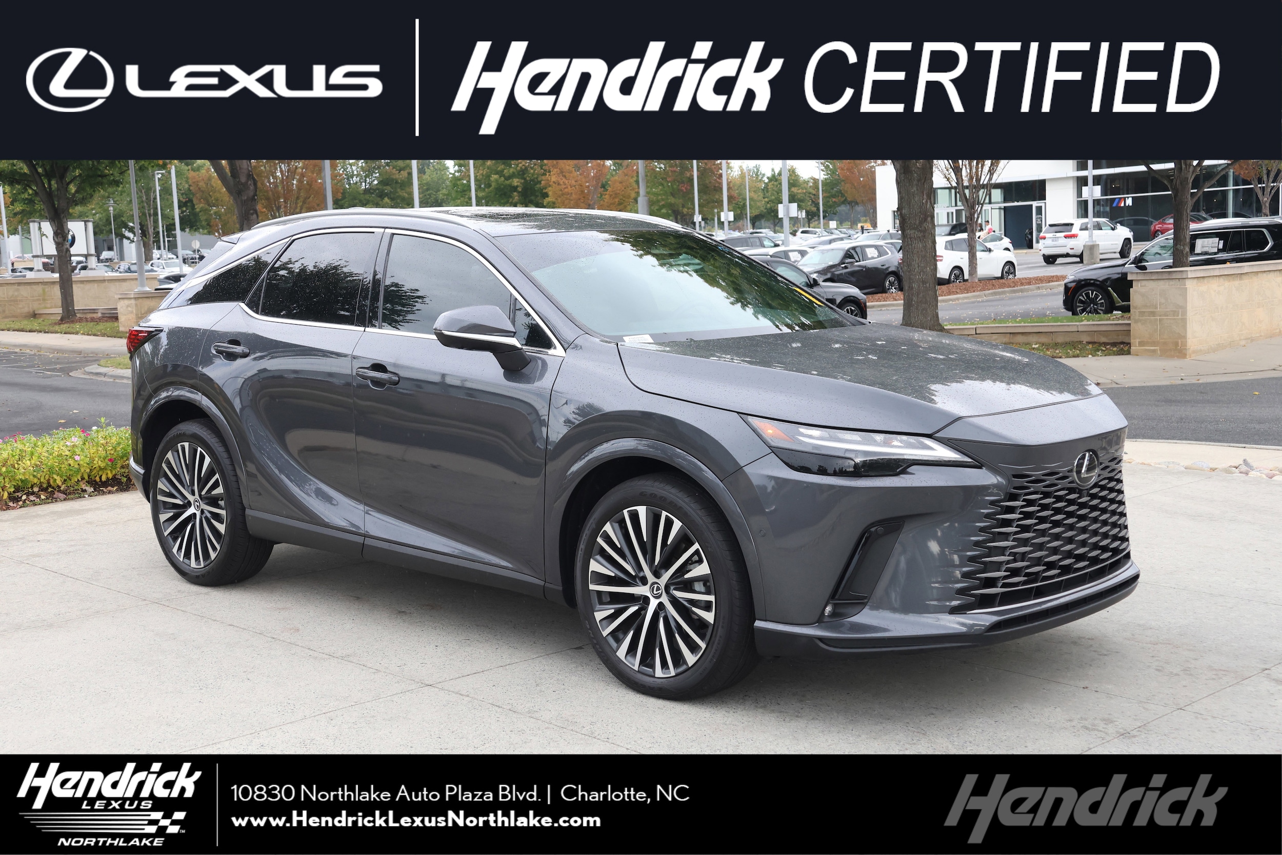 2024 Lexus RX 350's photo