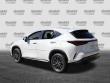 2026 LEXUS NX 350 SUV