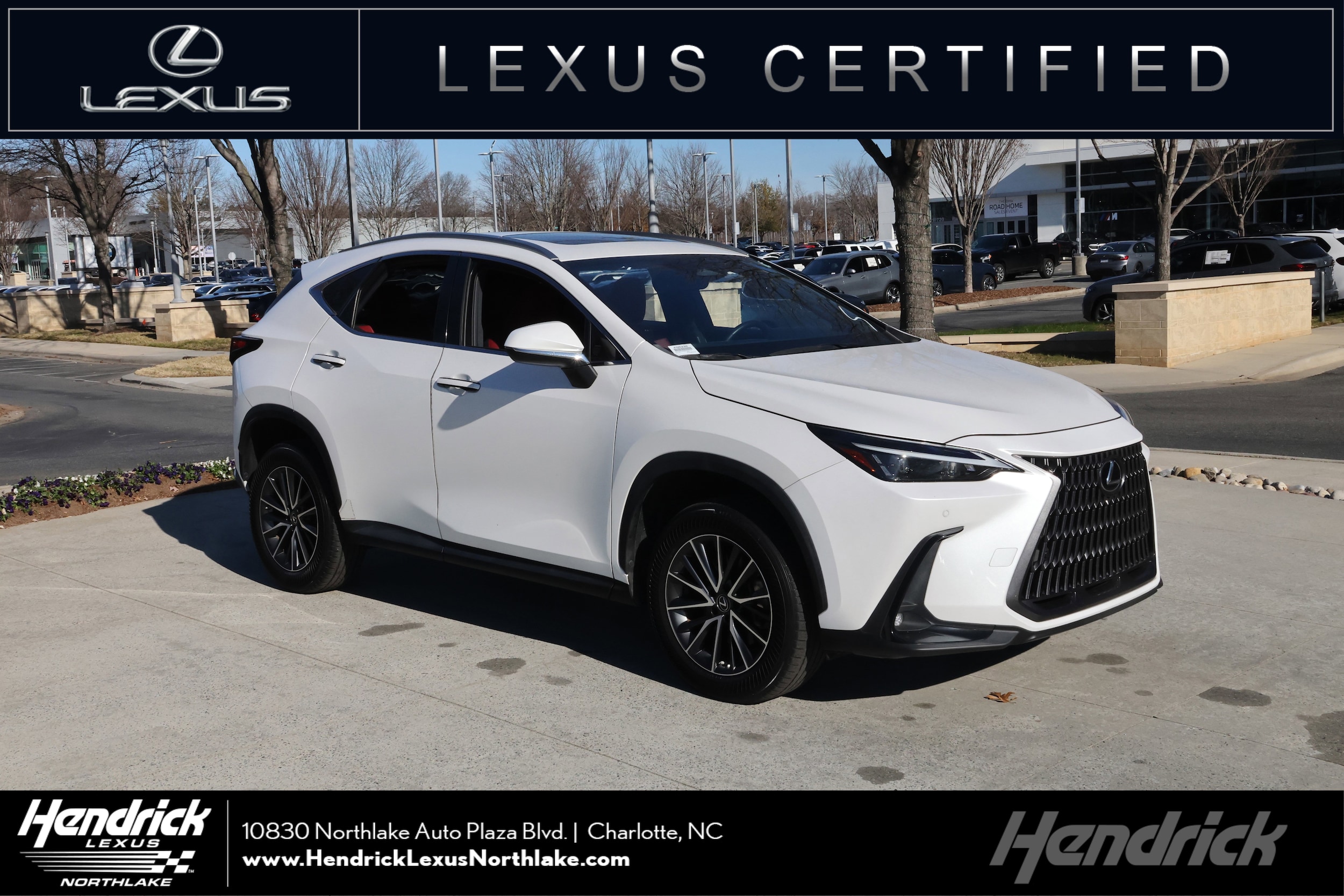 2022 Lexus NX 250's photo