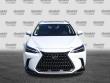 2026 LEXUS NX 350 SUV
