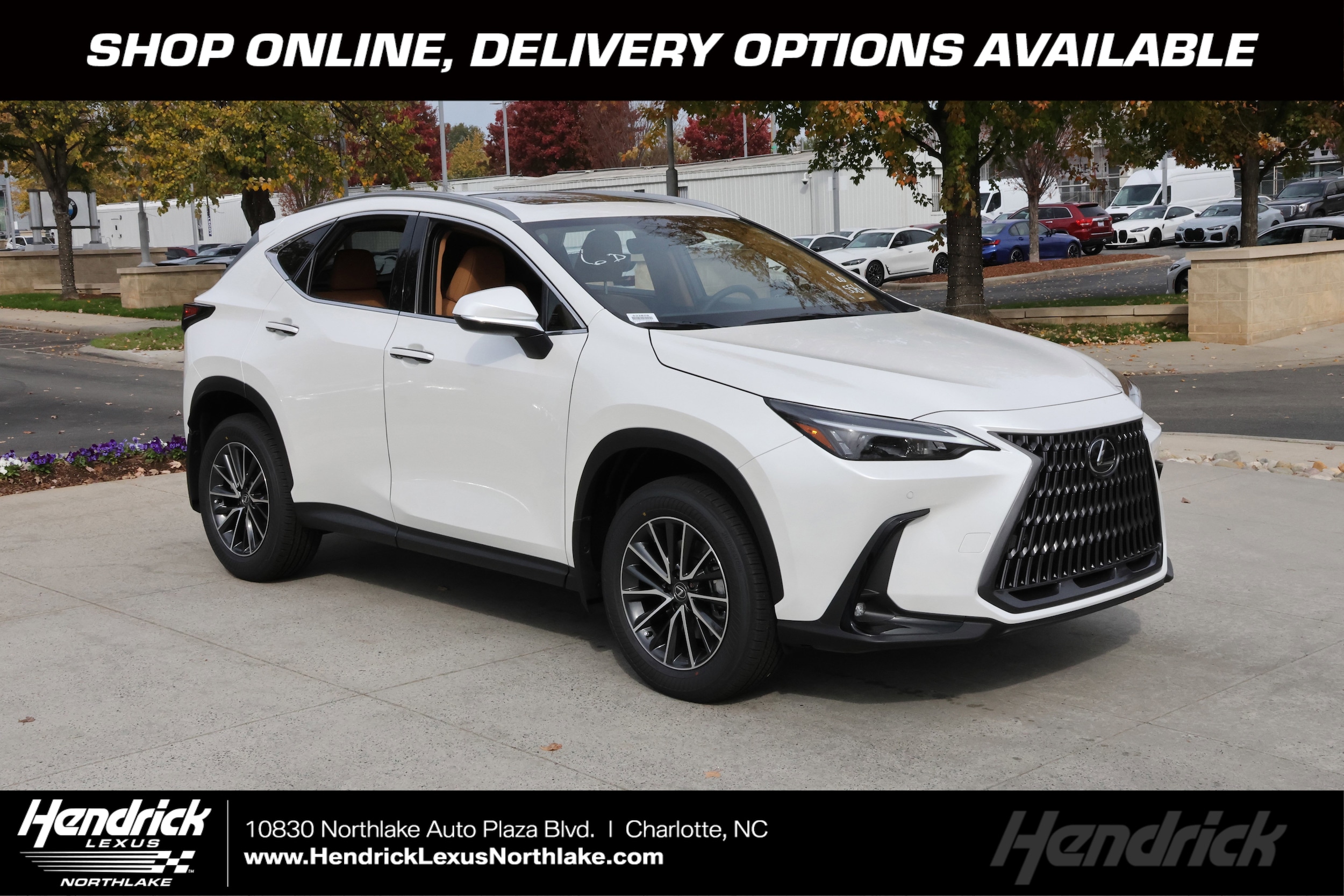 2026 Lexus NX 350's photo