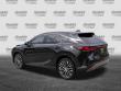 2023 LEXUS RX 350 Premium Plus SUV