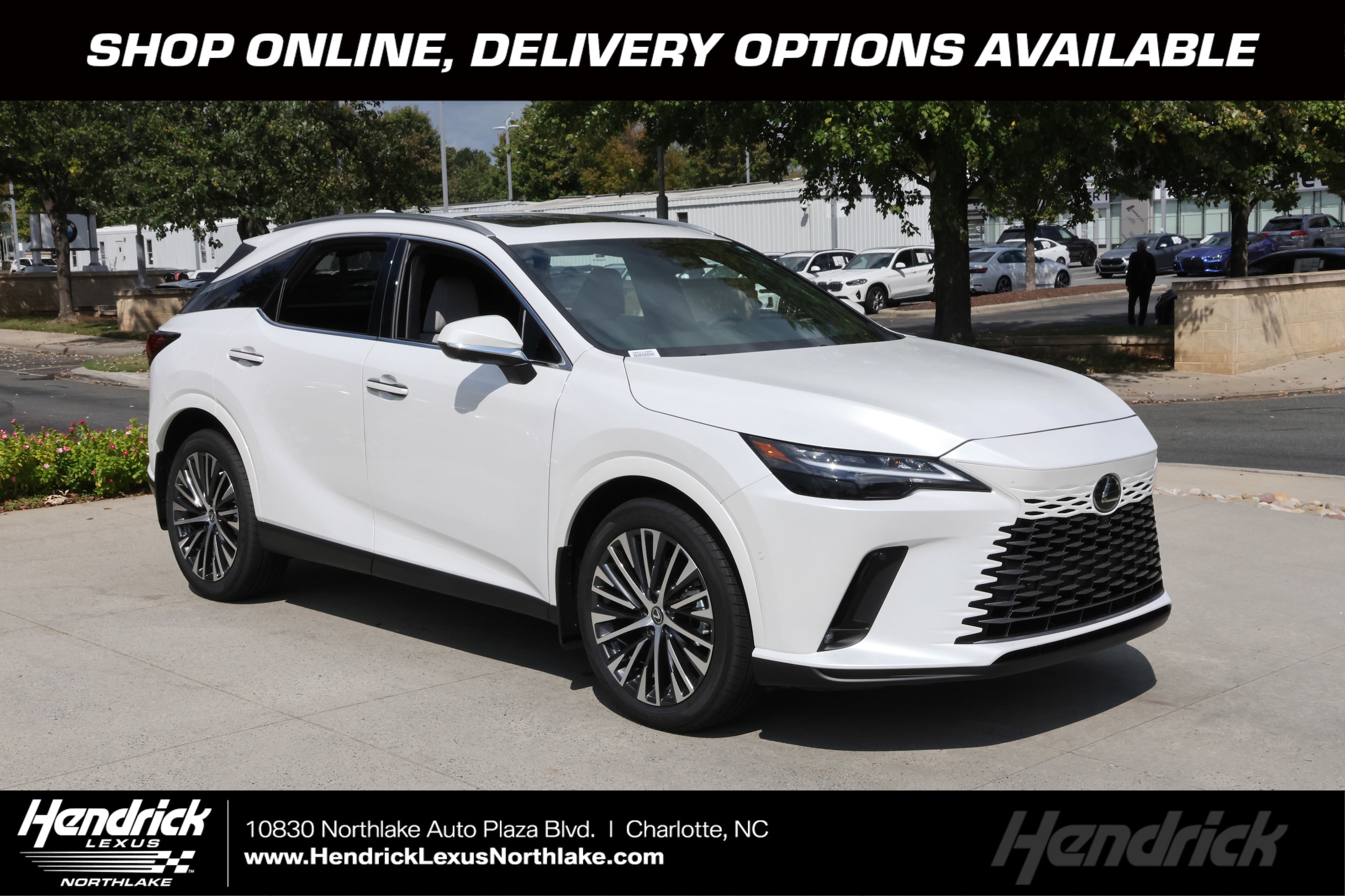 2026 Lexus RX Hybrid 350h's photo