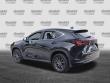 2024 LEXUS NX 250 Premium SUV
