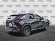 2024 LEXUS NX 250 Premium SUV