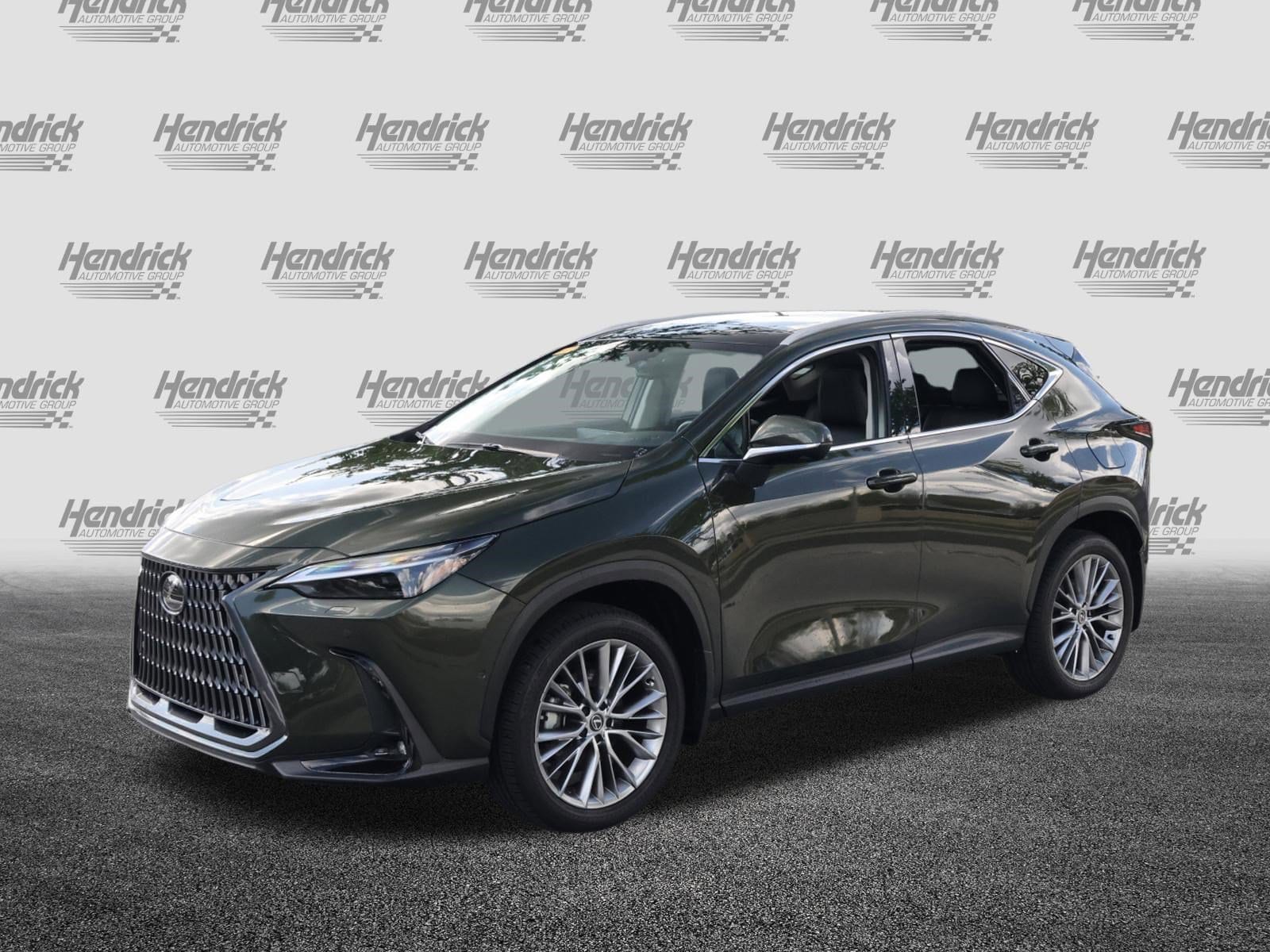 2025 LEXUS NX 350h Luxury photo 2