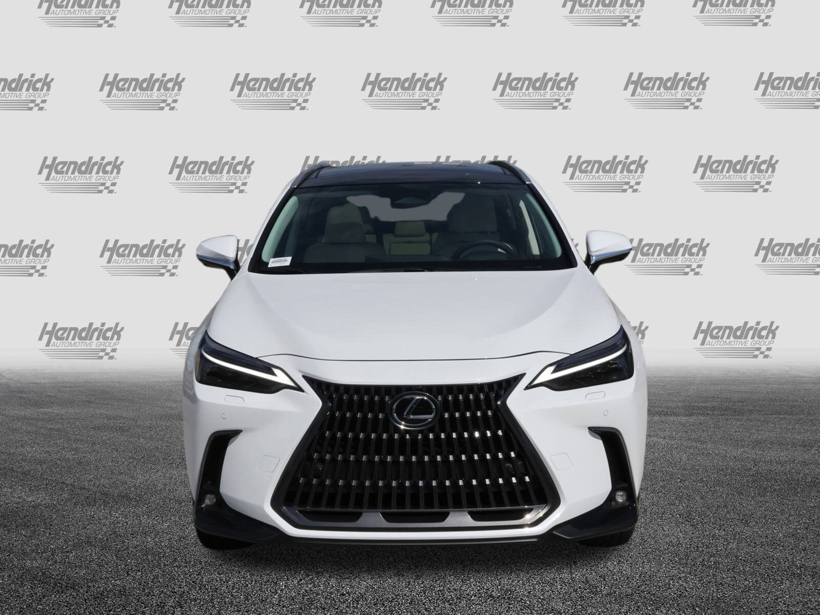 2026 Lexus NX 350 Luxury AWD photo 2