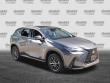 2025 LEXUS NX 350 350 Premium SUV