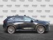 2025 LEXUS NX 350 350 Premium SUV