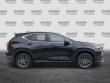 2025 LEXUS NX 250 Premium SUV