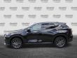 2025 LEXUS NX 350 350 Premium SUV