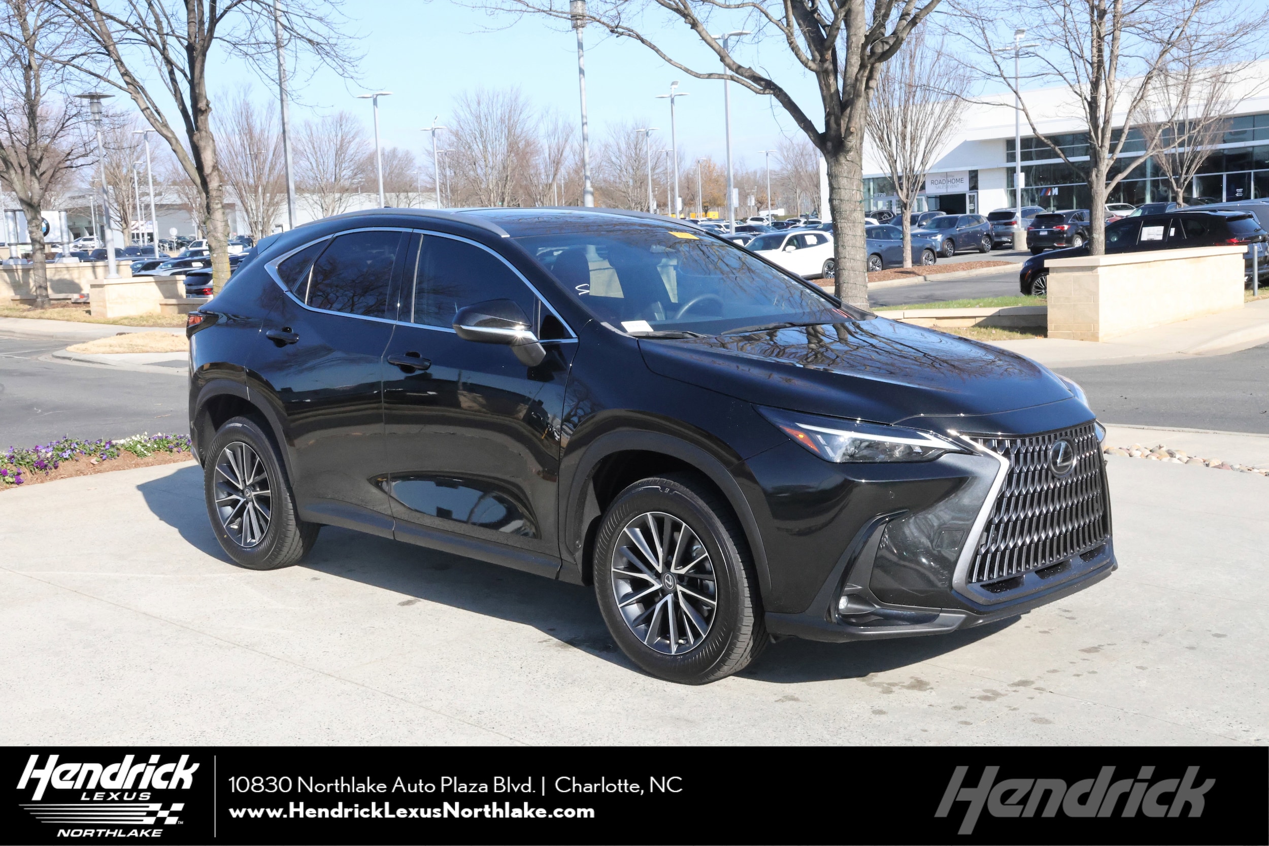 2023 Lexus NX 350's photo