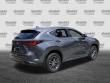2024 LEXUS NX 250 250 Premium SUV