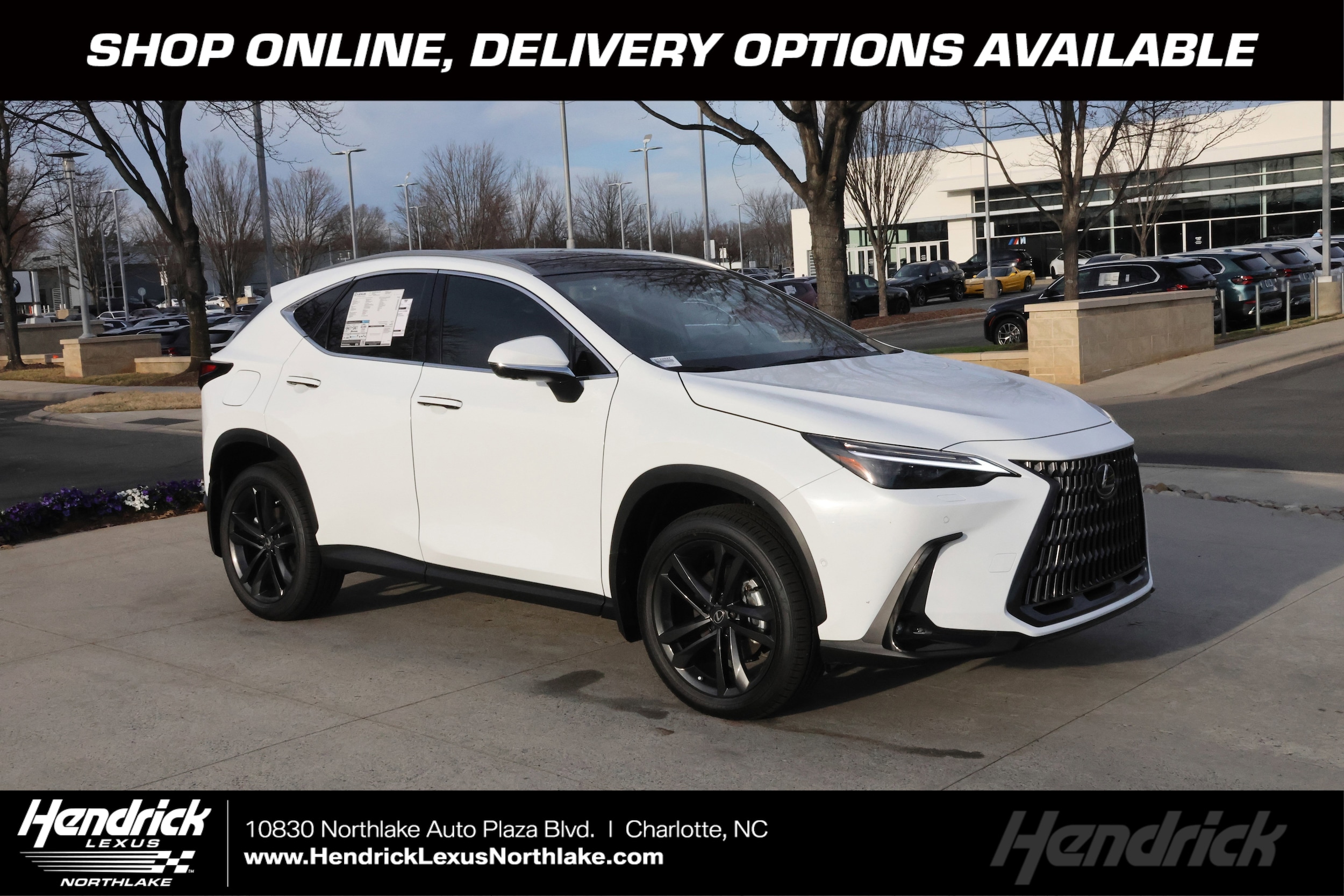 2026 Lexus NX S's photo