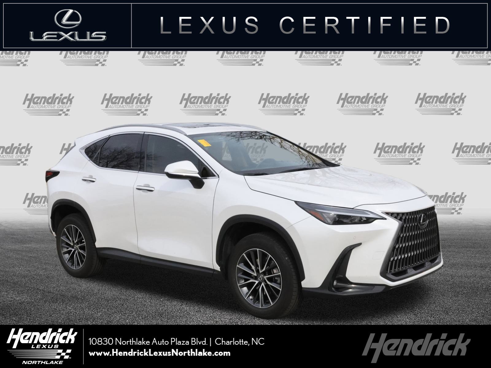 2023 Lexus NX 350's photo