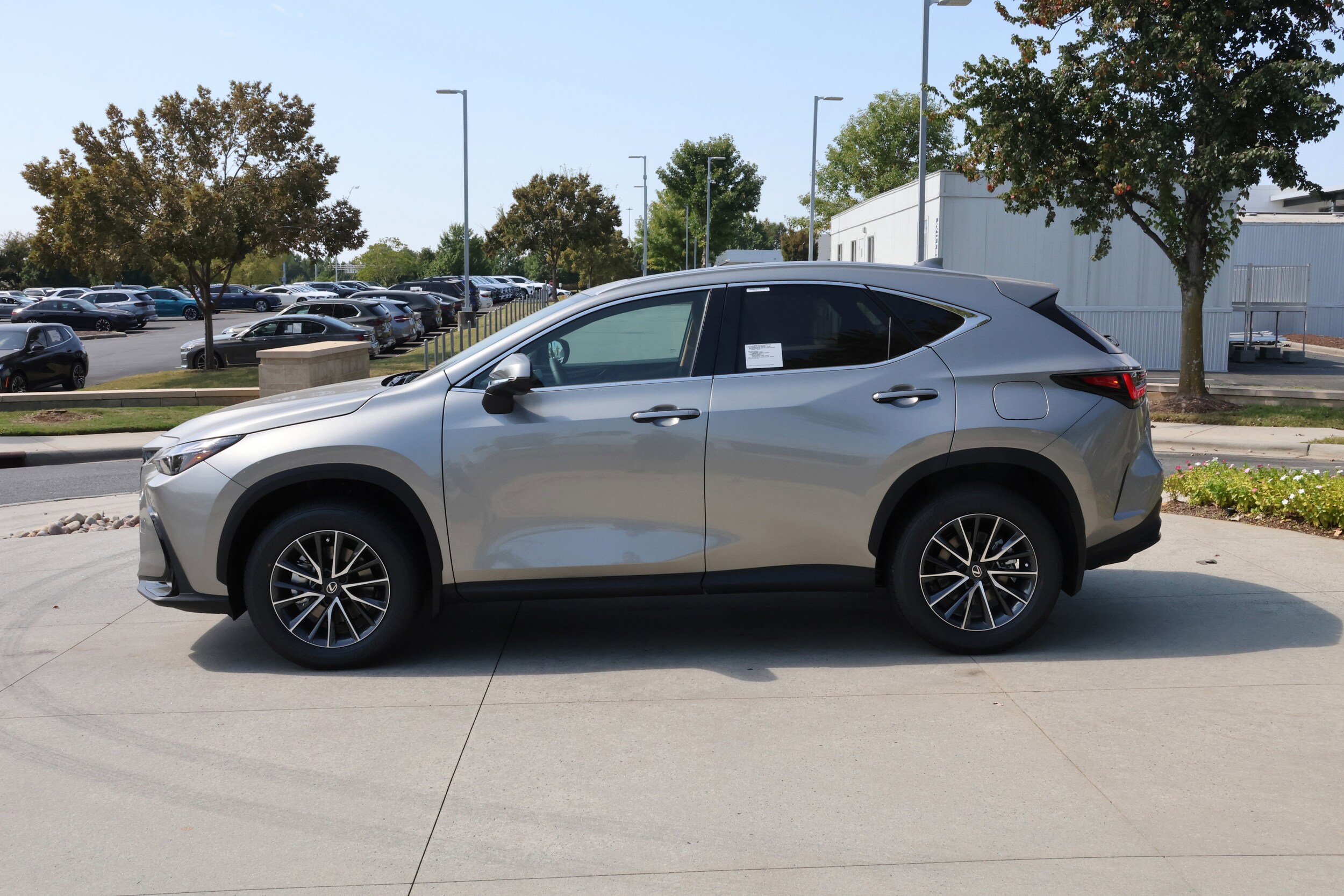2026 Lexus NX 350 AWD photo 4