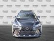 2025 LEXUS NX 350 350 Premium SUV