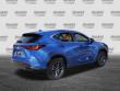 2025 LEXUS NX 250 Premium SUV