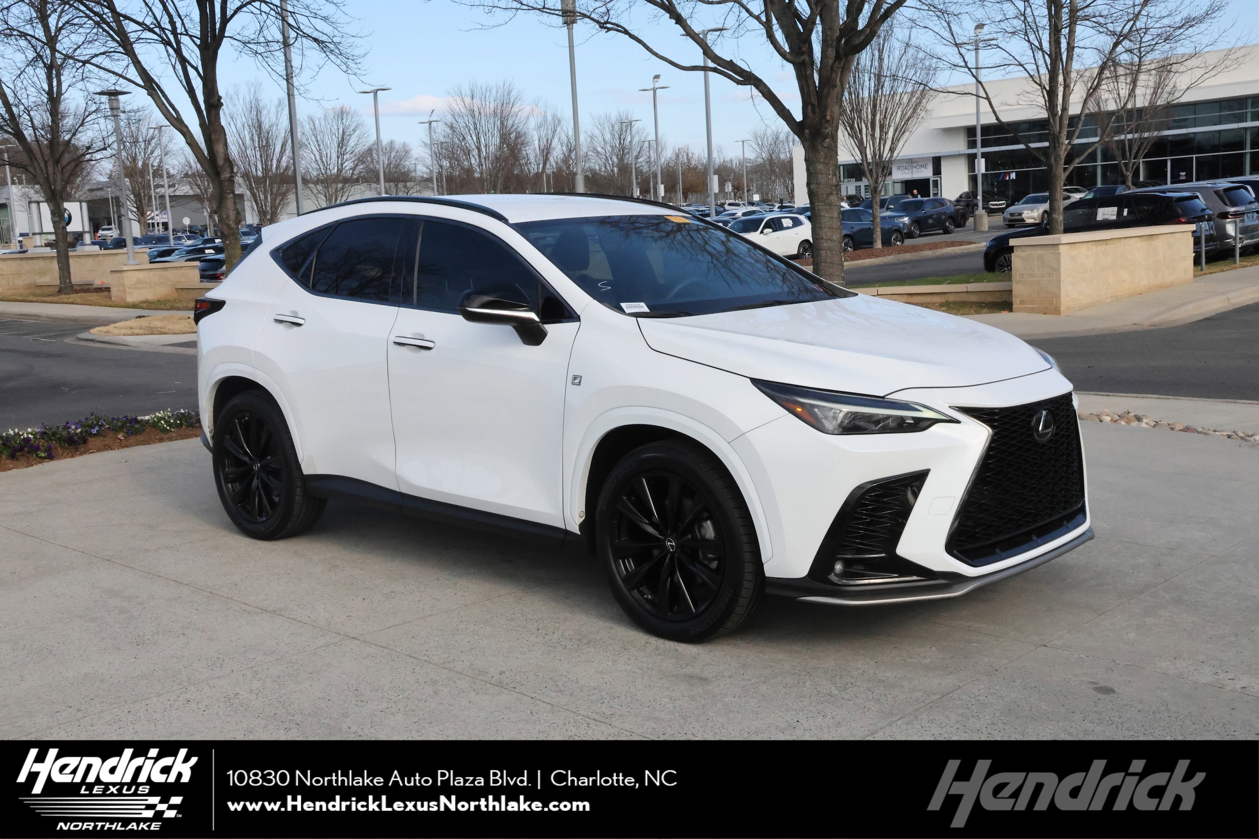 2022 Lexus NX 350's photo