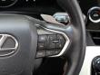 2023 LEXUS NX 250 250 Premium SUV