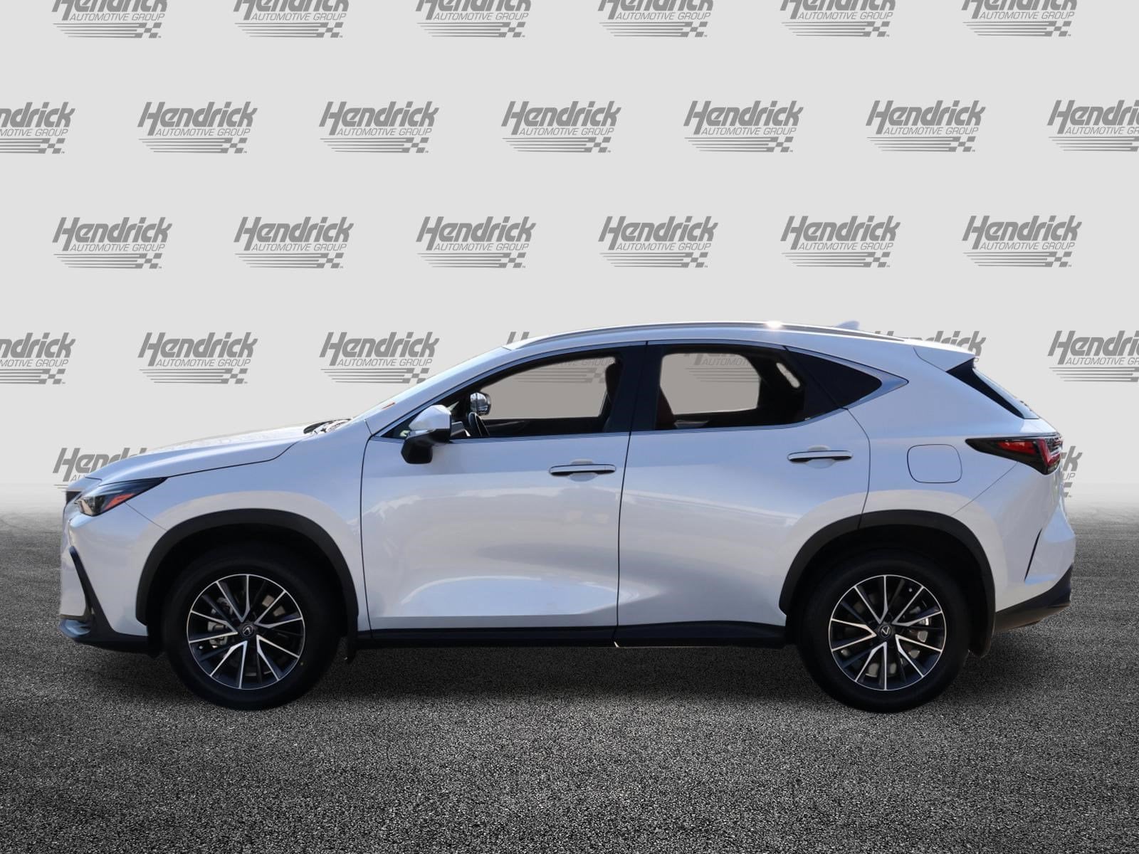 2024 LEXUS NX 350 350 Premium photo 4