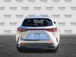 2024 LEXUS NX 250 250 Premium SUV
