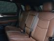 2025 CADILLAC XT5 Sport SUV