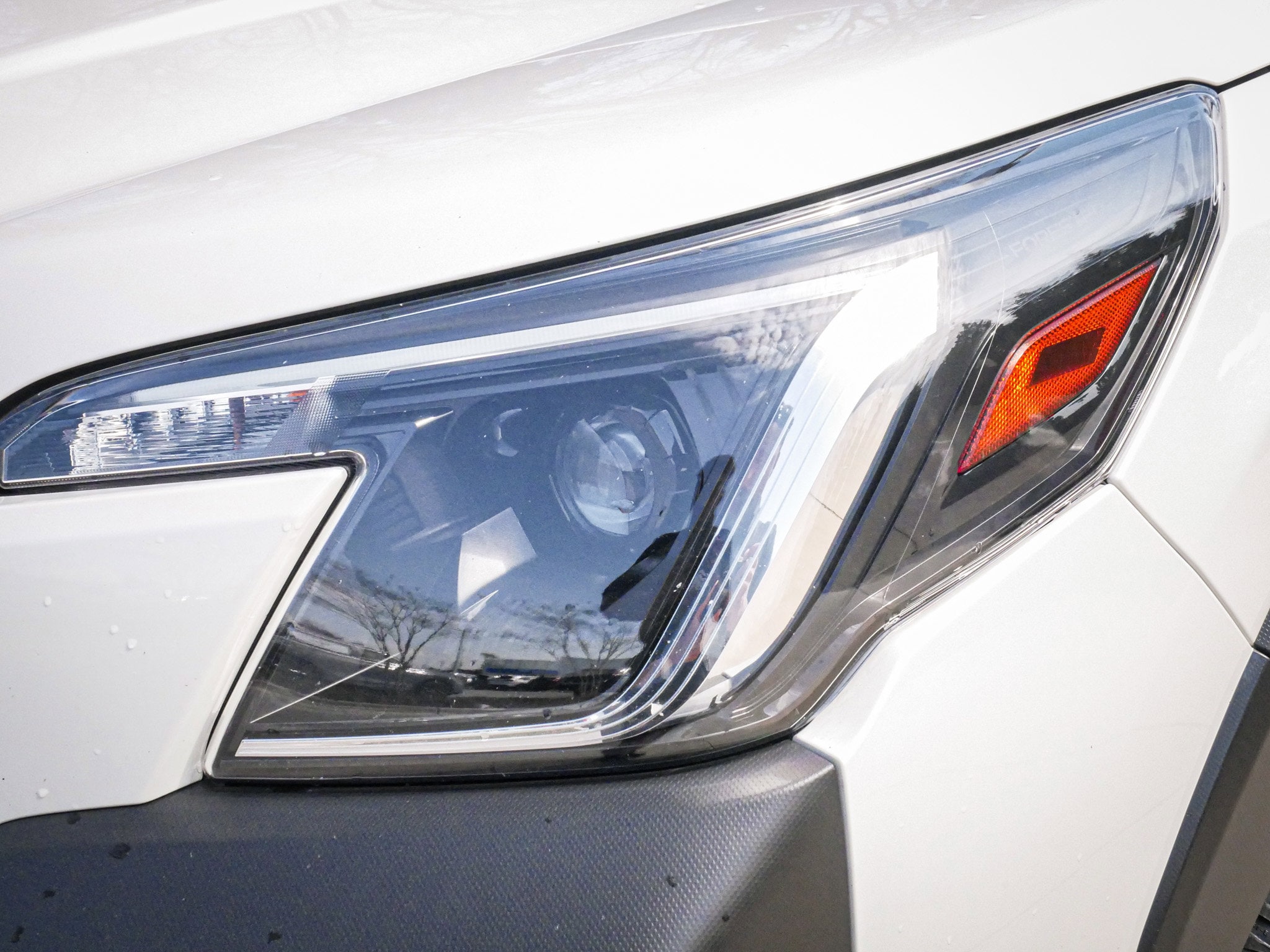 2023 Subaru Forester Wilderness photo 4