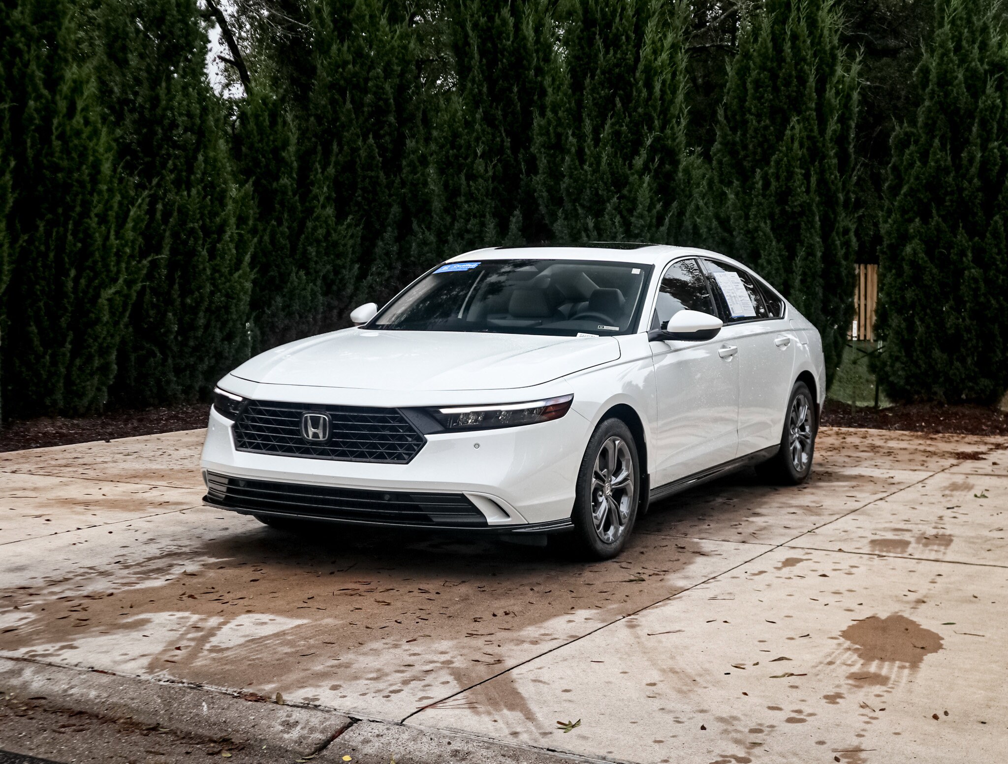 2024 Honda Accord Hybrid EX-L photo 3