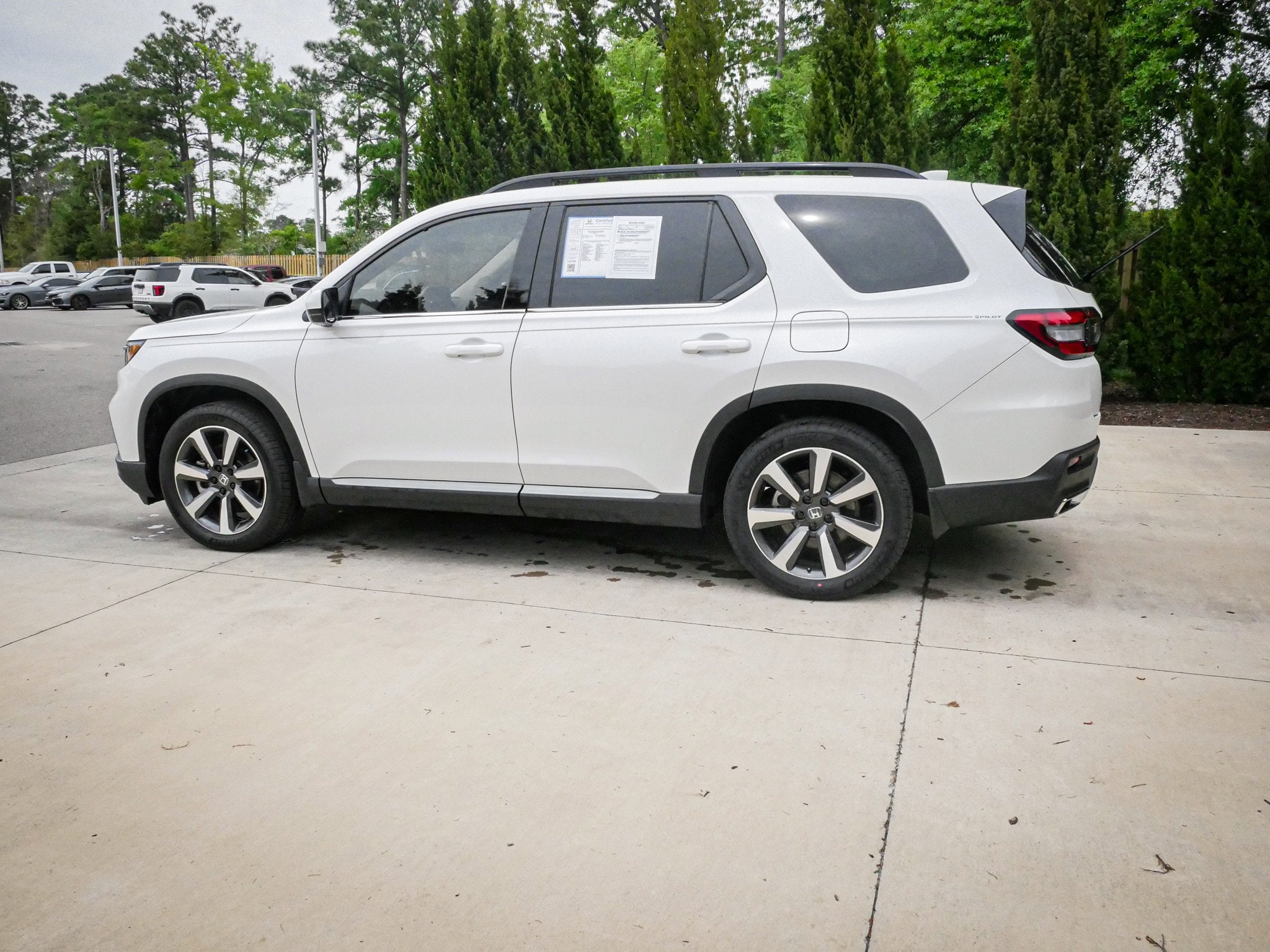 2025 Honda Pilot Touring photo 5