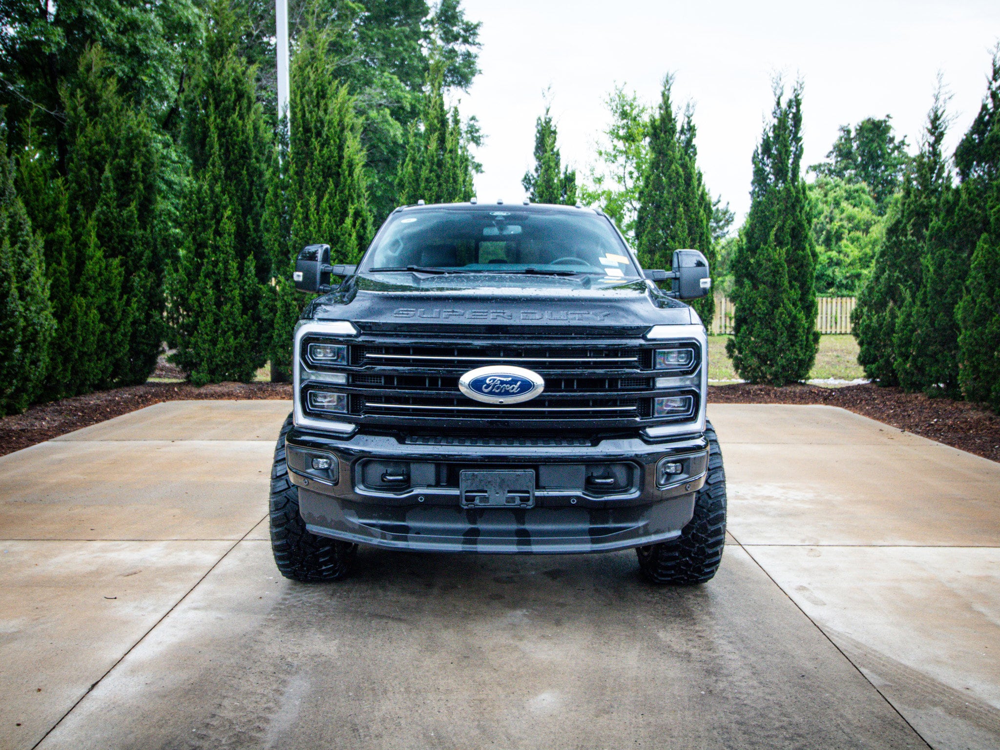 2025 Ford Super Duty F-250 SRW Platinum photo 2