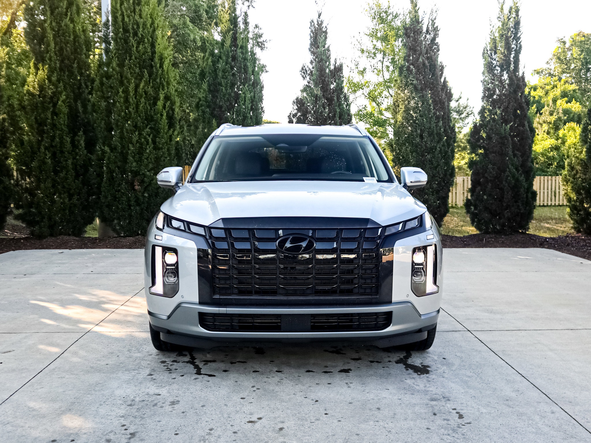 2025 Hyundai Palisade SEL Premium 7P photo 2