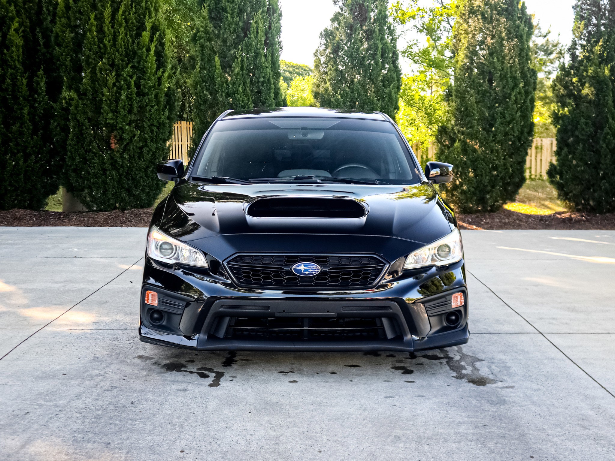 2019 Subaru WRX photo 2