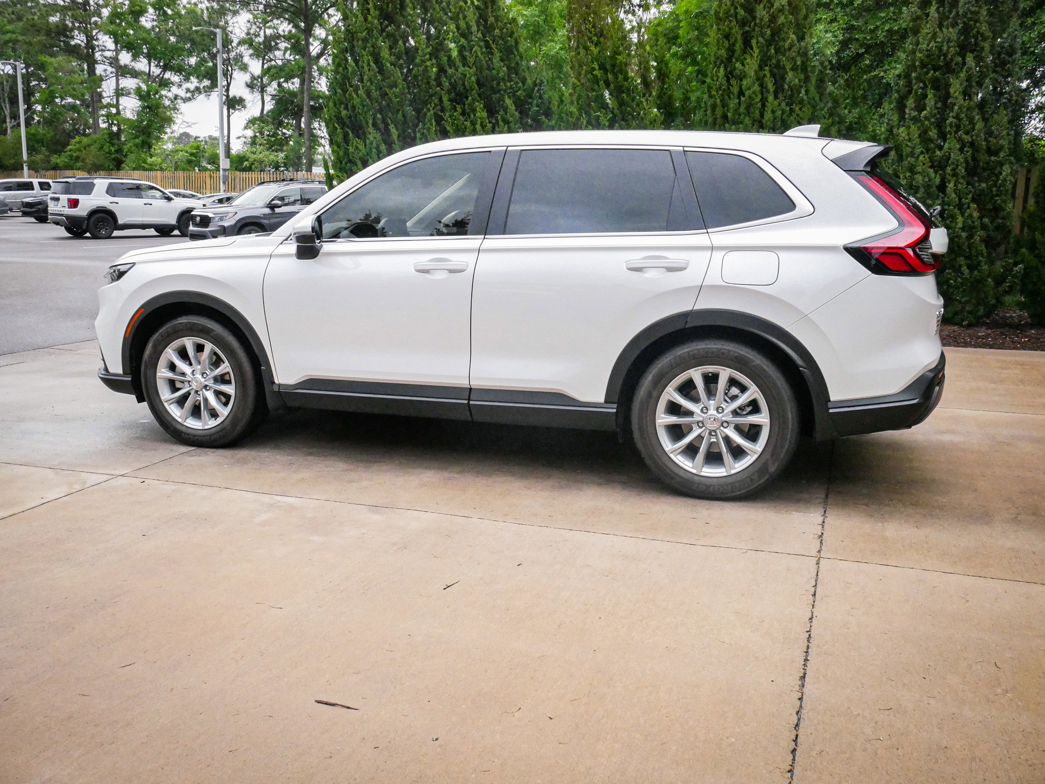 2024 Honda CR-V EX-L photo 5