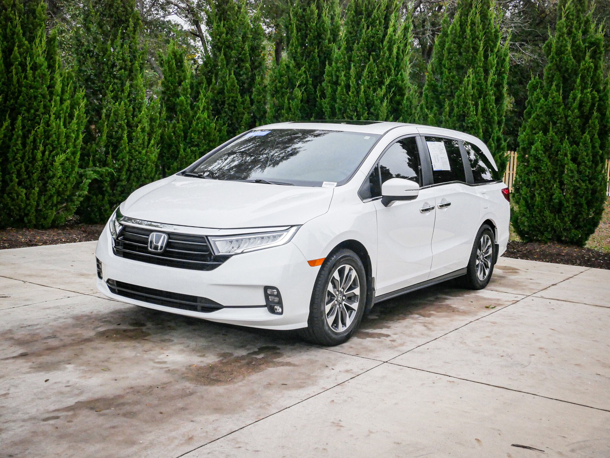 2024 Honda Odyssey EX-L photo 2