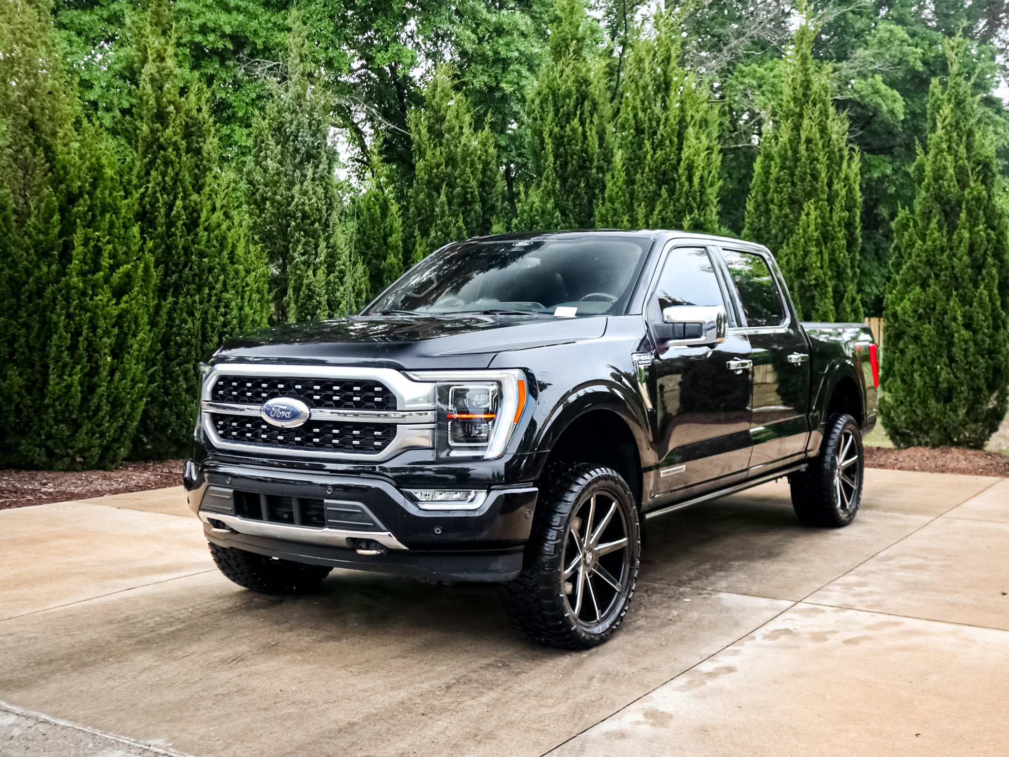 2022 Ford F-150 Platinum photo 4