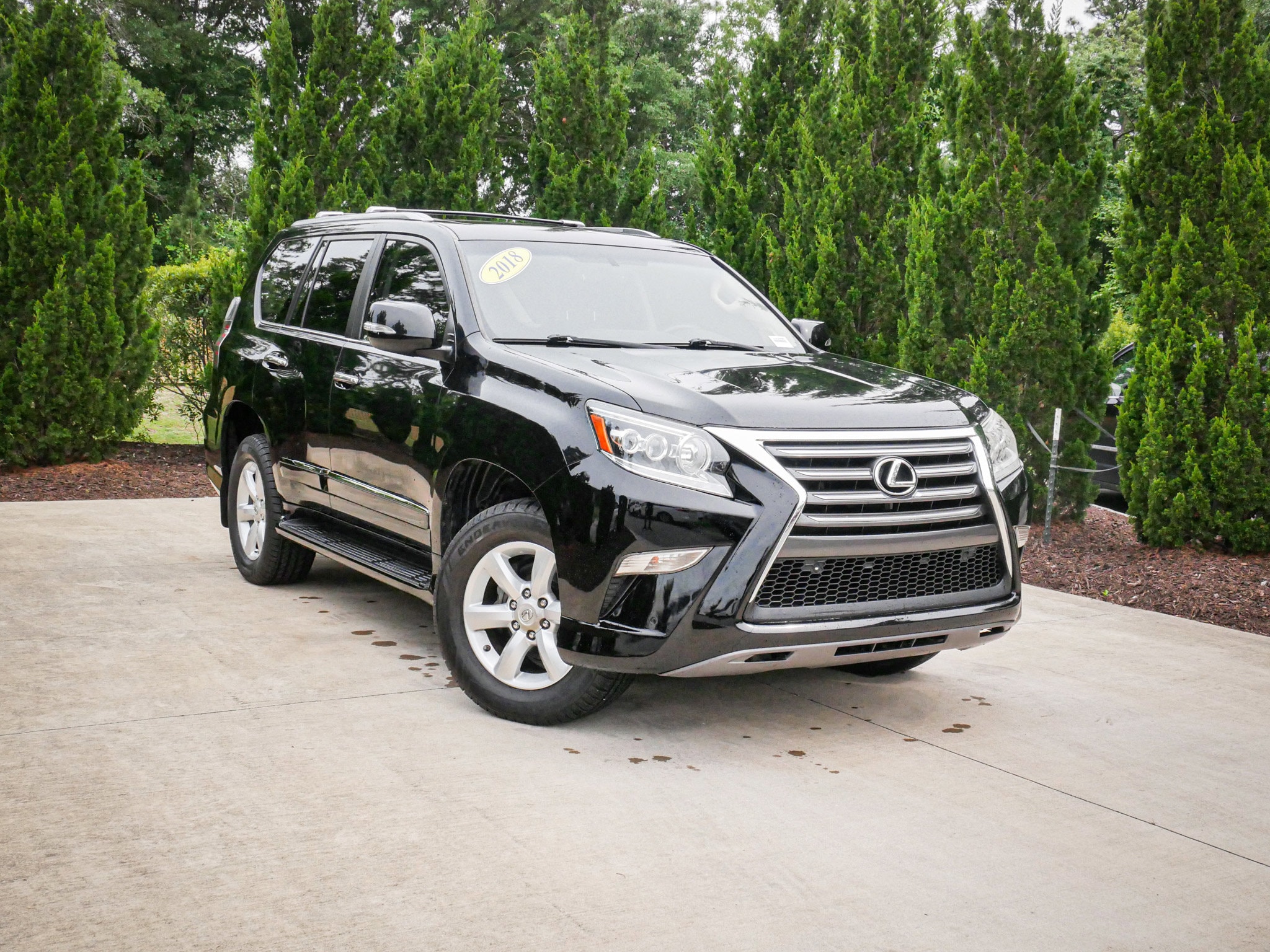 2018 Lexus GX GX 460
