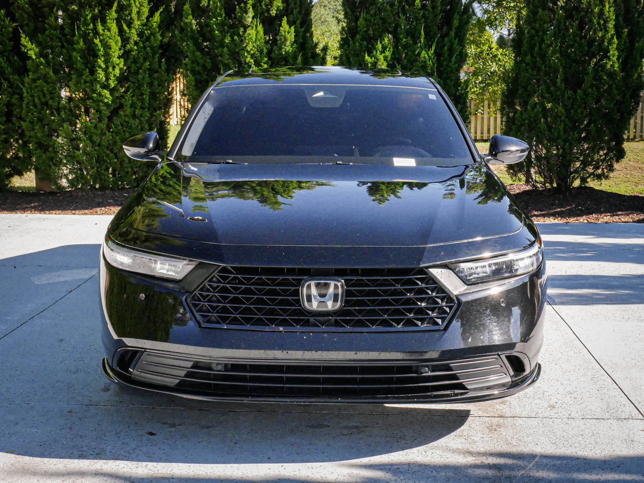 Used 2025 Honda Accord Hybrid EX-L Sedan