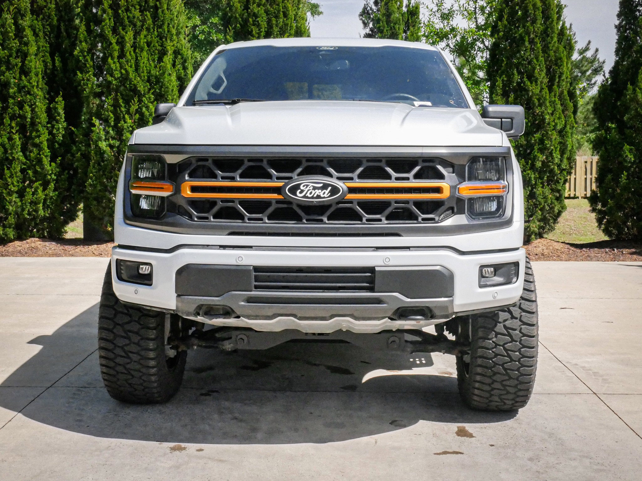 2025 Ford F-150 Tremor photo 2