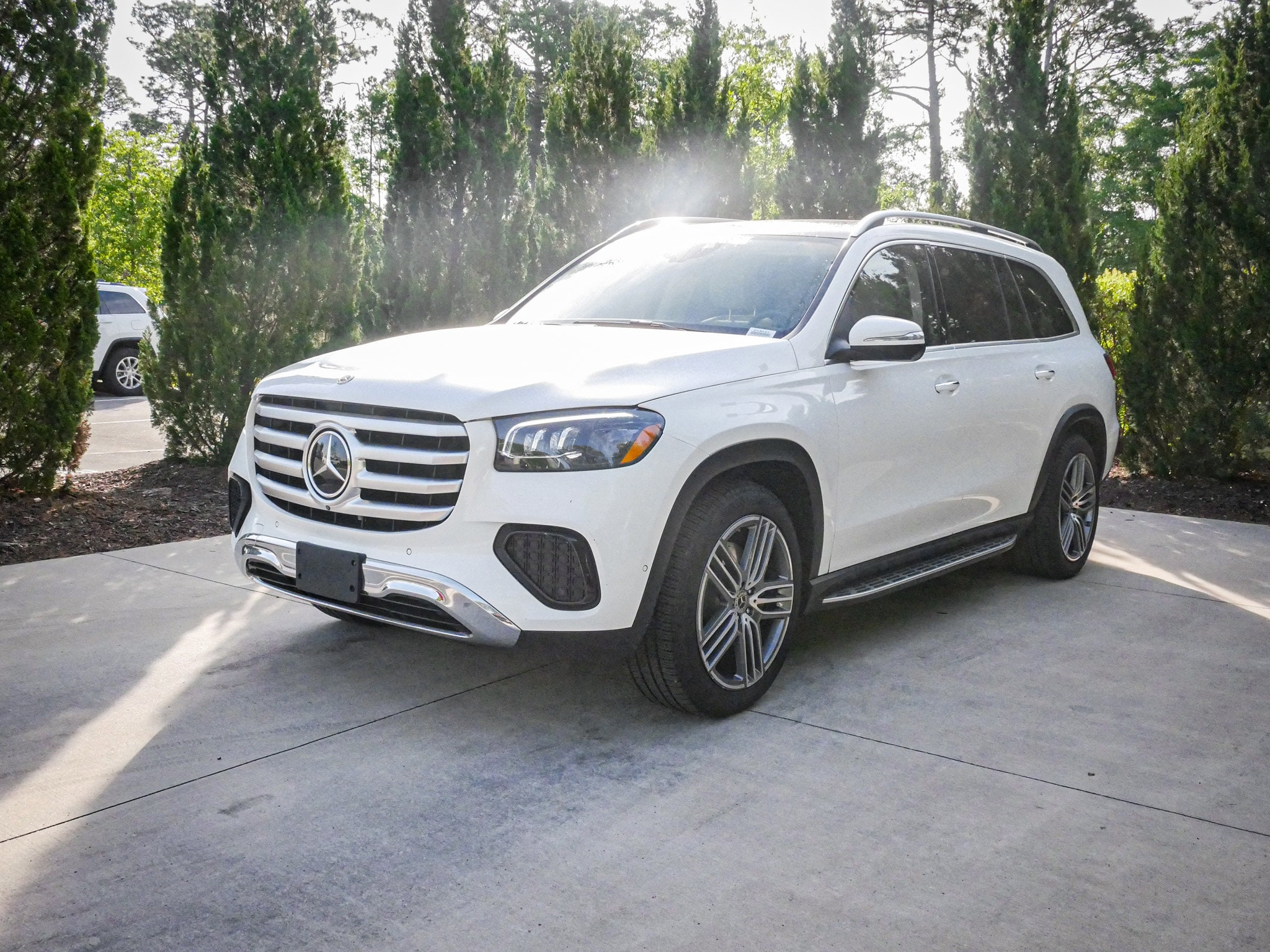 2025 Mercedes-Benz GLS 450 photo 4