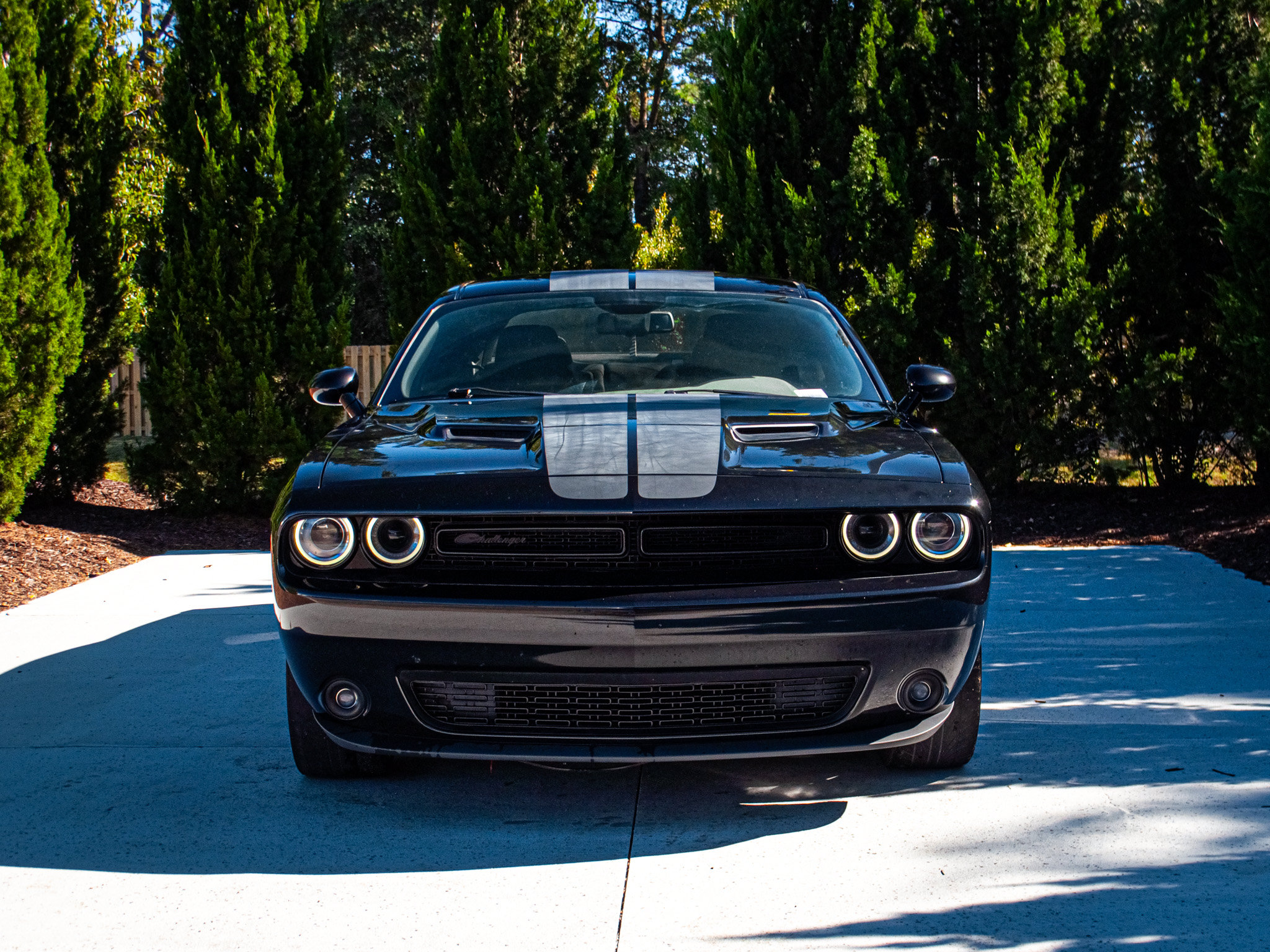 Used 2021 Dodge Challenger SXT Coupe