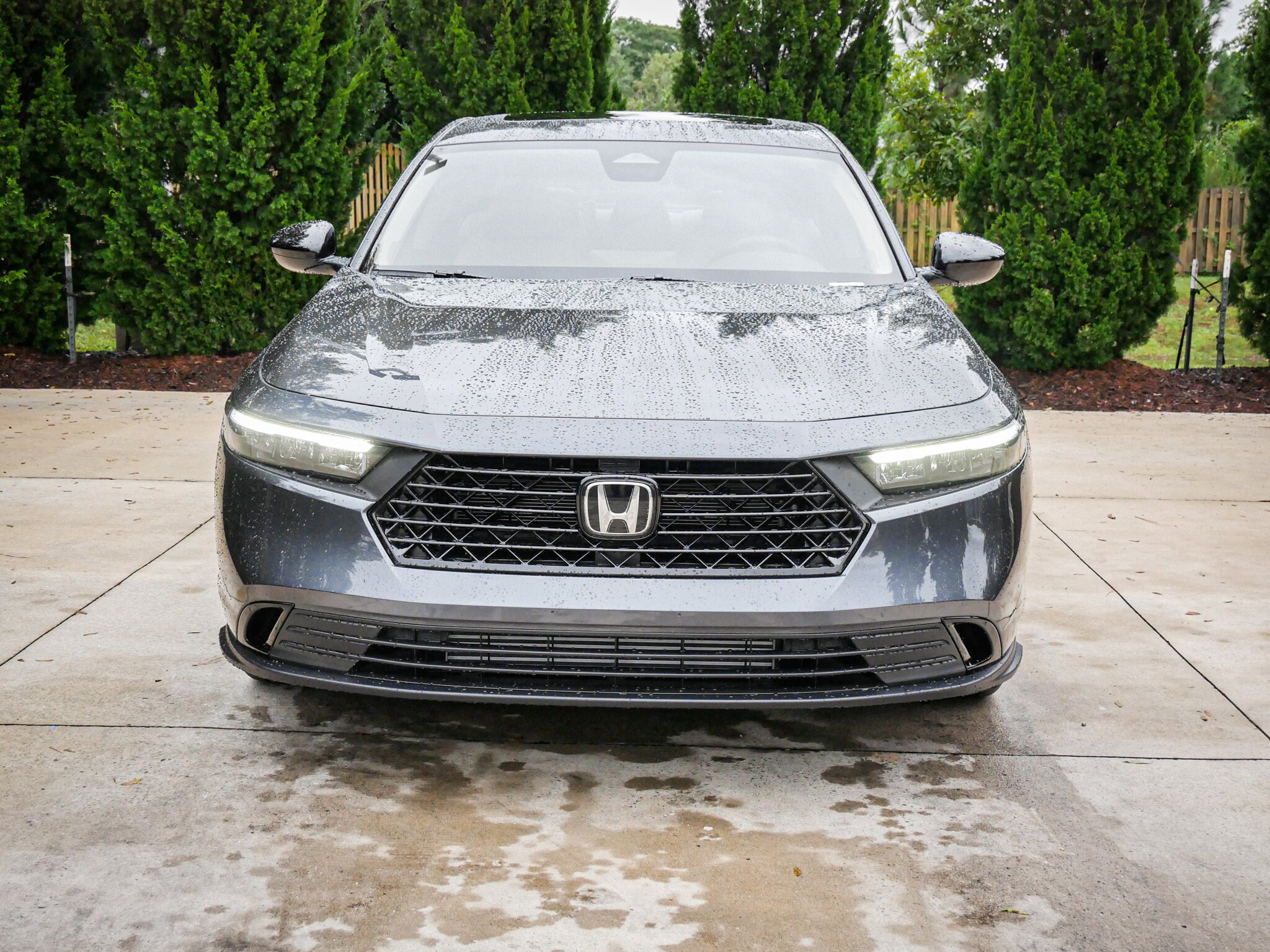 2025 Honda Accord 1.5T SE photo 2
