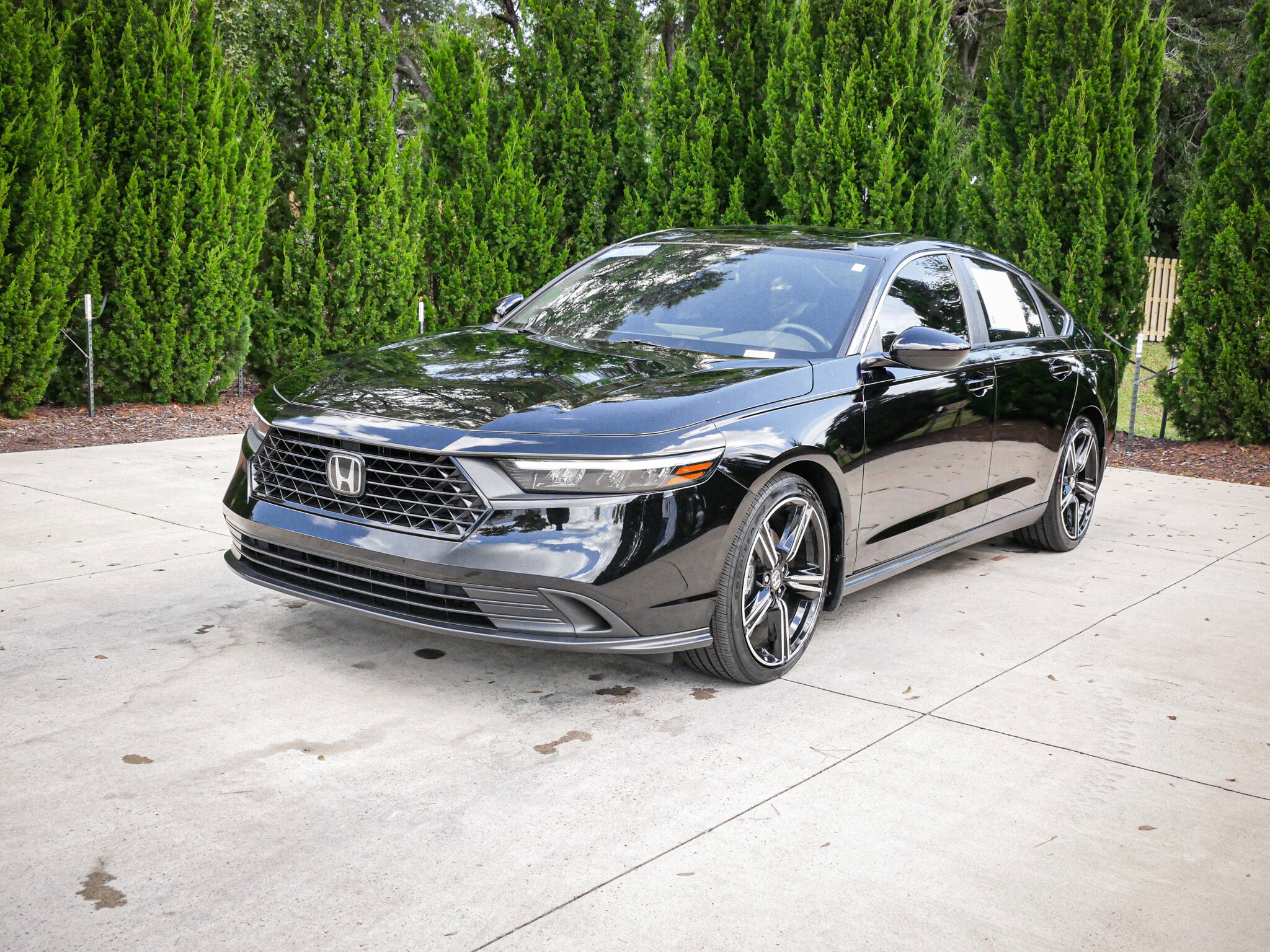 2024 Honda Accord Hybrid Sport photo 3