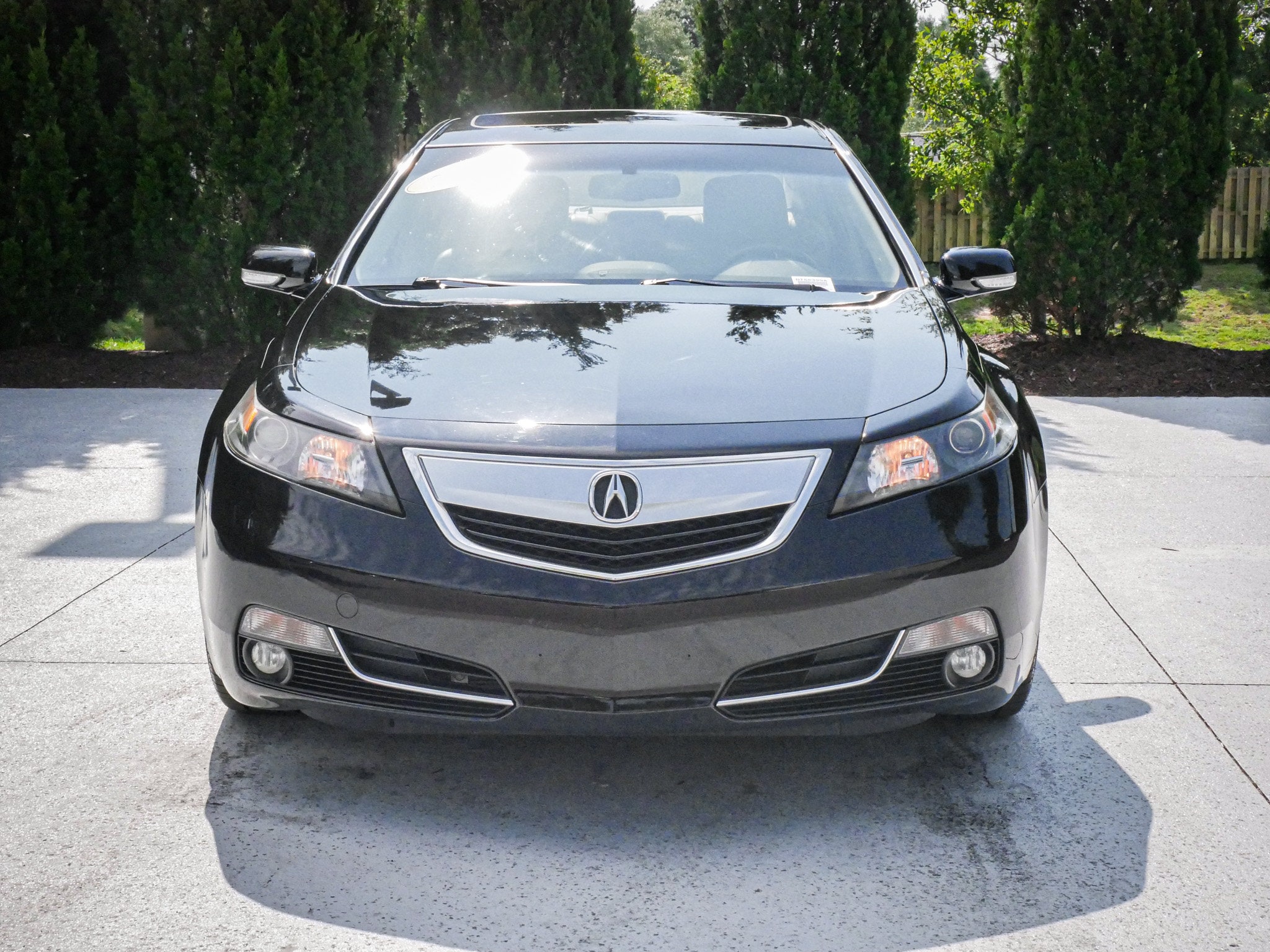 Acura TL Tech