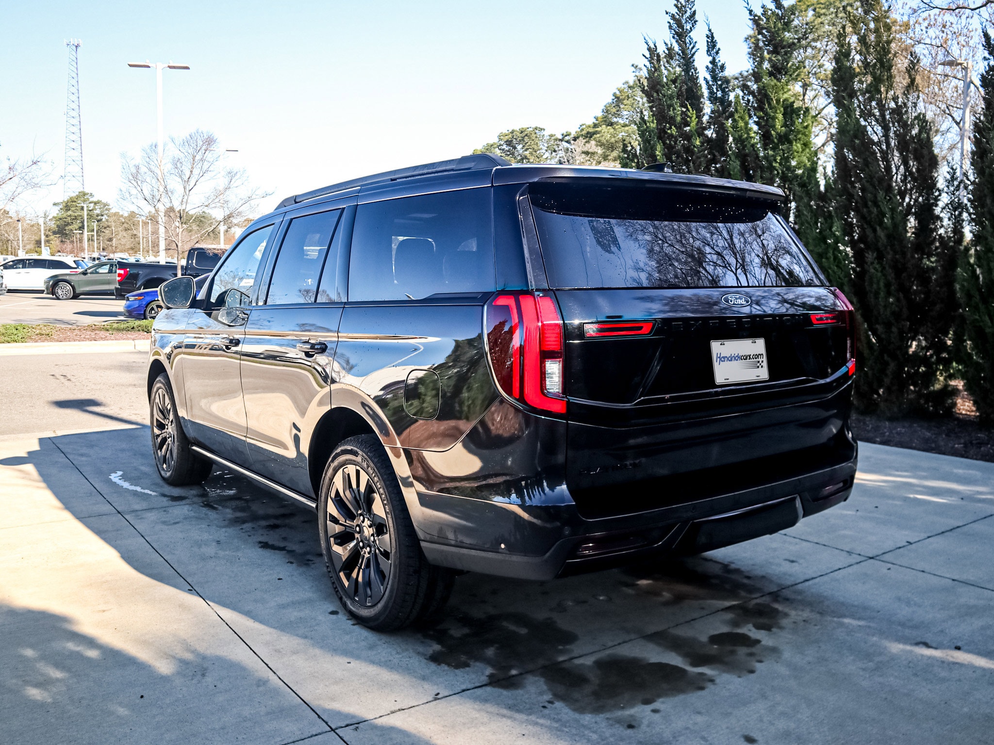2025 Ford Expedition Platinum photo 6