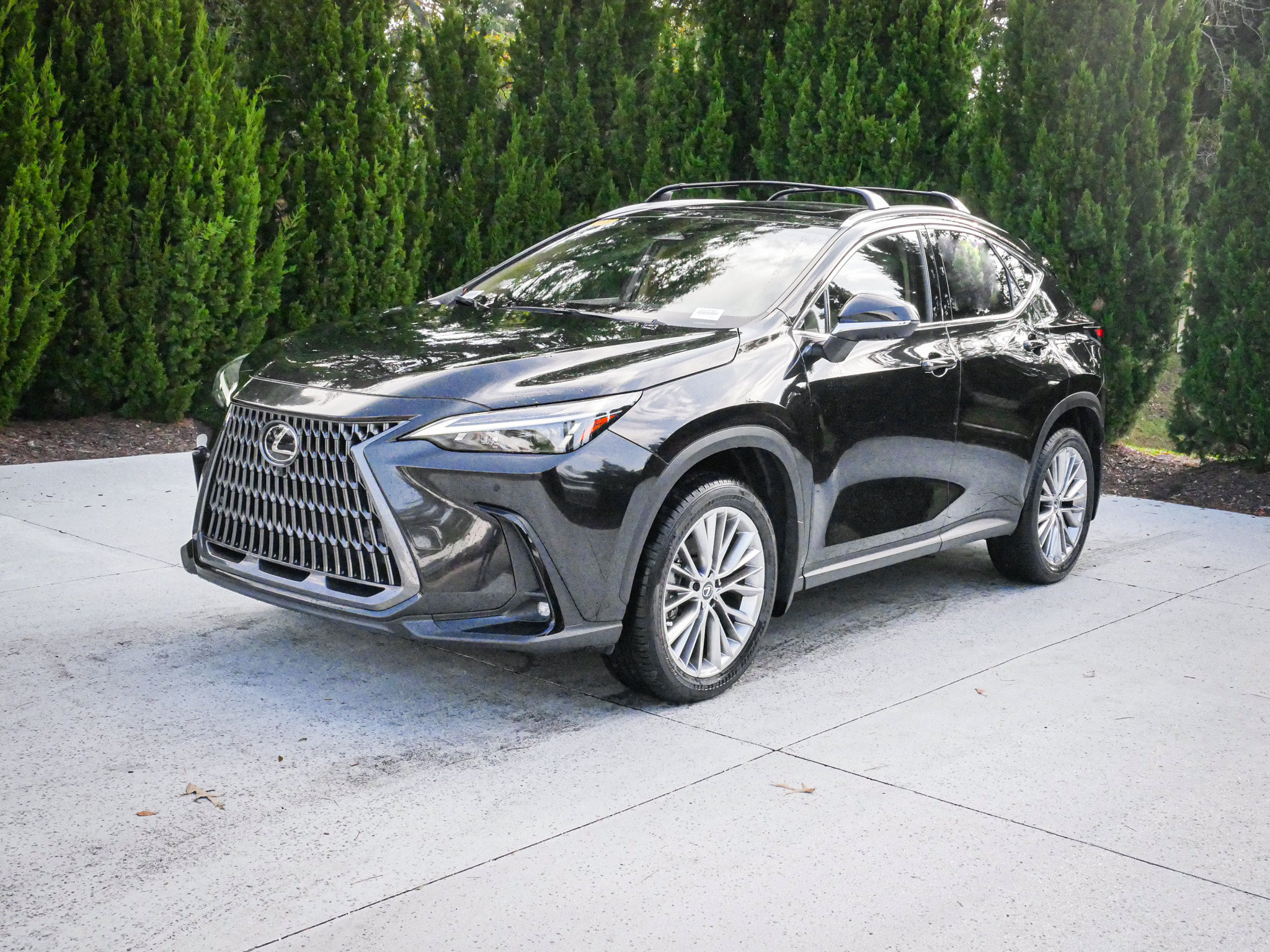 Used 2025 Lexus NX NX 350 Premium SUV