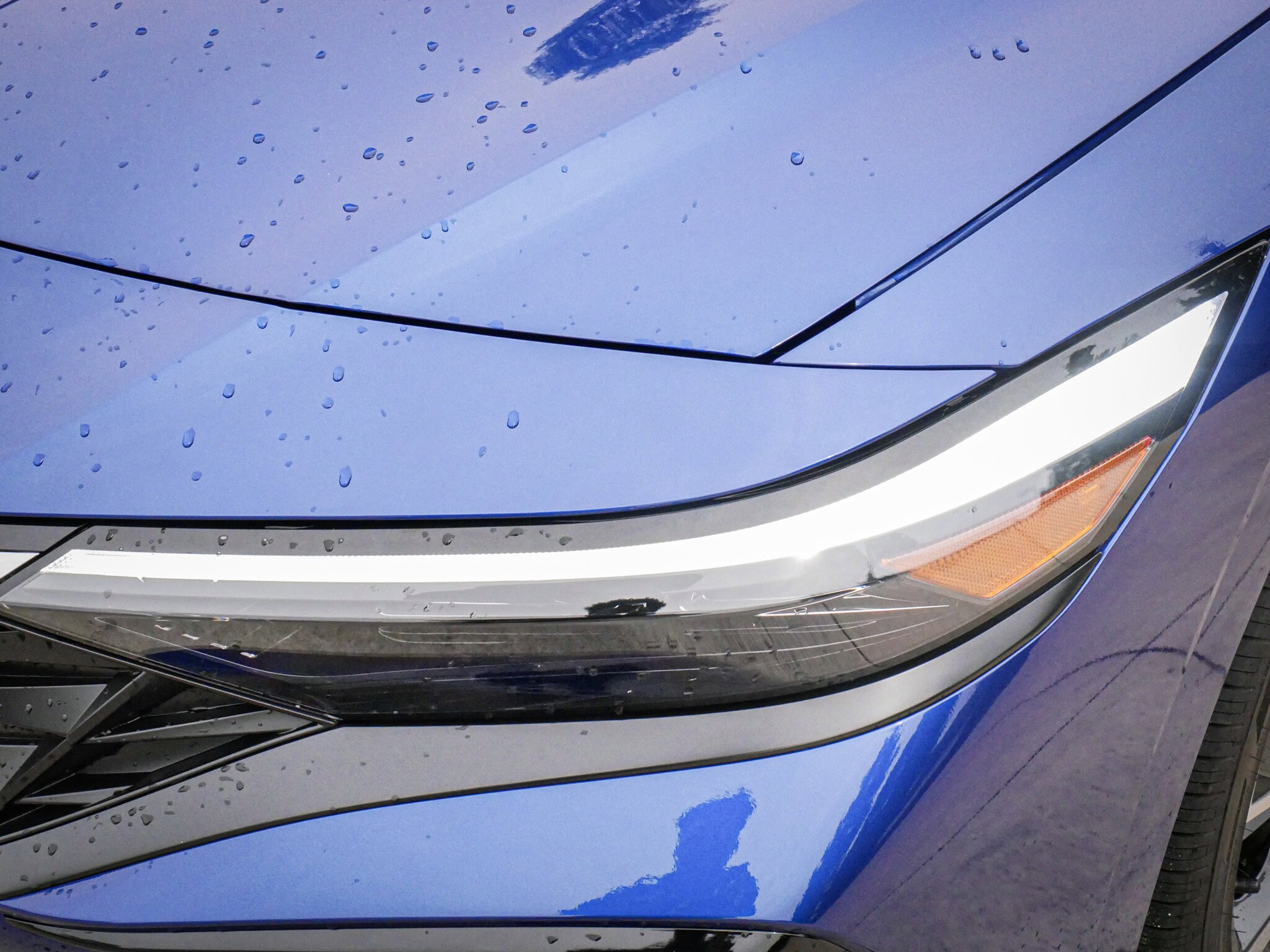 2025 Hyundai Elantra Limited photo 4