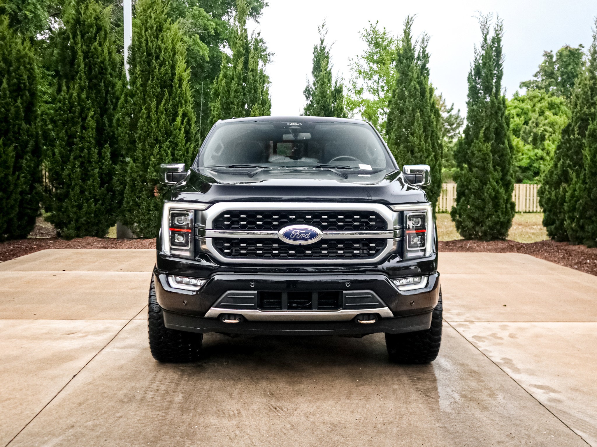 2022 Ford F-150 Platinum photo 2
