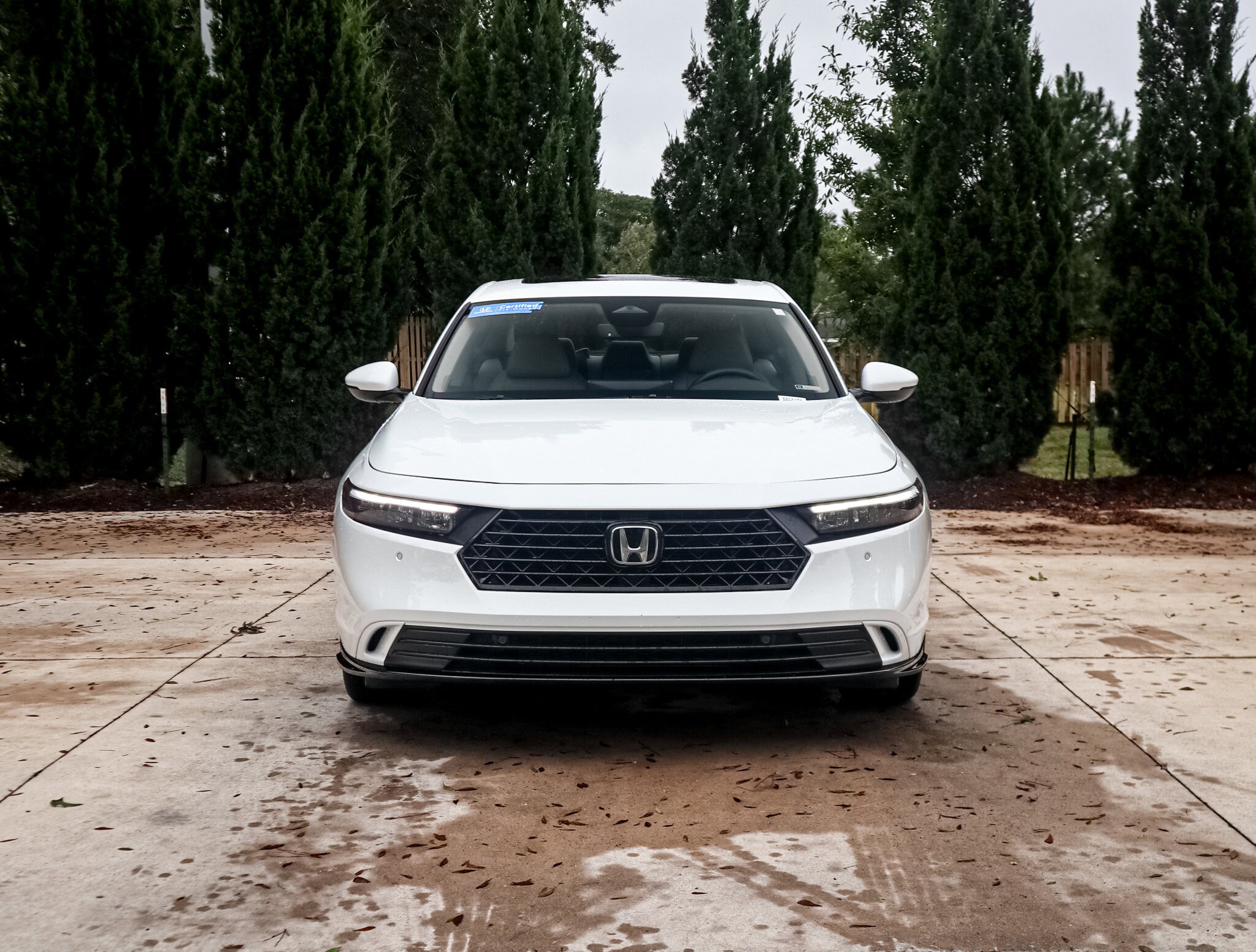 2024 Honda Accord Hybrid EX-L photo 2